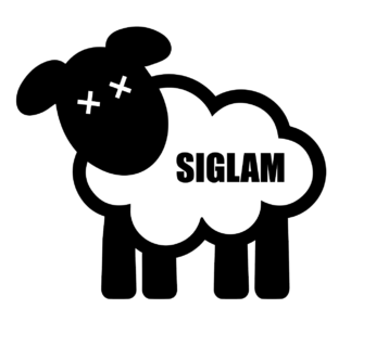 Zum Artikel "SIGLAM – Stärkung der informatischen Grundbildung für das Lehramt an Mittelschulen"